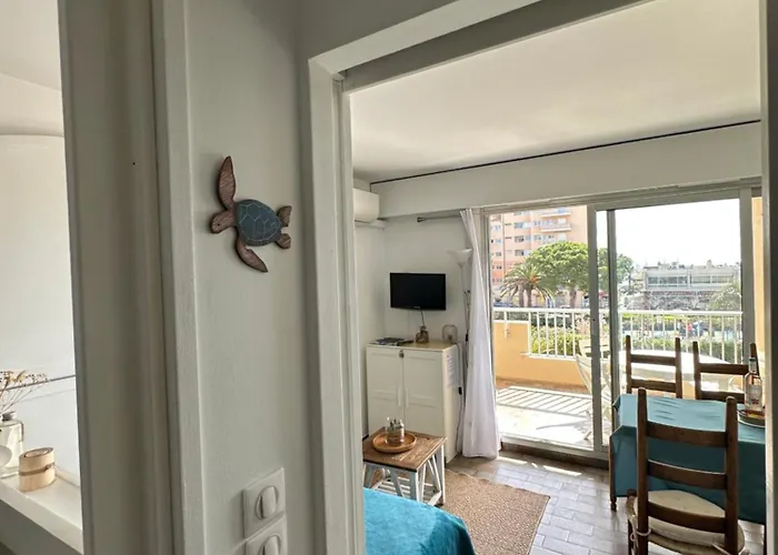 Summer Sophia Studio