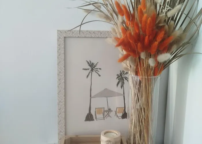 Summer Sophia Studio Hyères