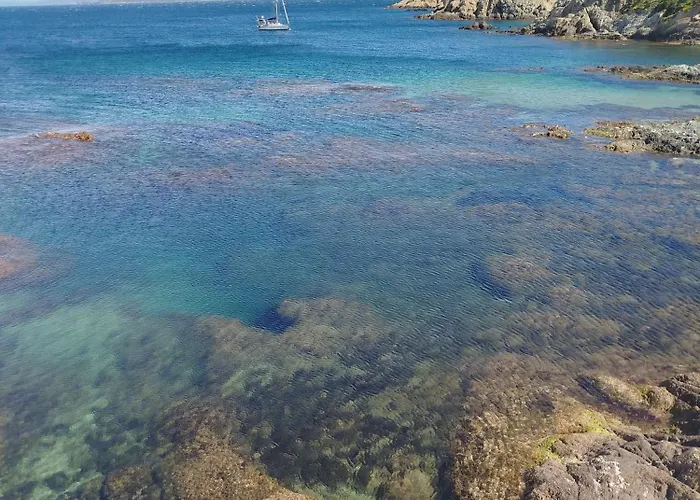 Summer Sophia Studio *