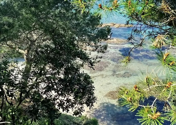 Summer Sophia Studio * Hyères